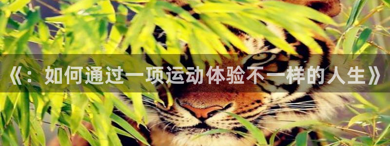 oety欧亿体育官网下载招商电话：《：如何通过一项运