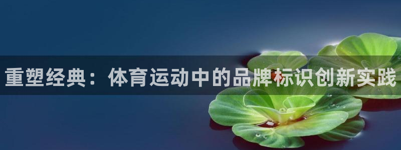 oety欧亿体育官网下载平台注册流程视频：重塑经典：