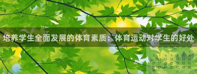 oety欧亿体育官网下载软件：培养学生全面发展的体育
