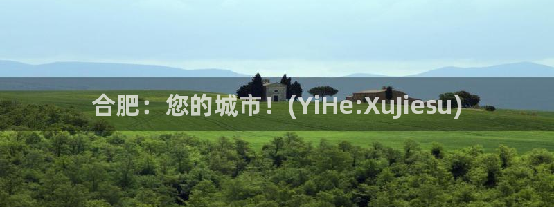 欧亿体育官方正版app代理
