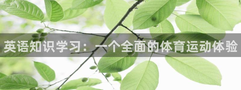 欧亿体育官方正版app集团官网首页网址：英语知识学习