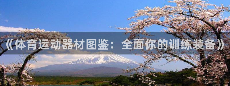oety欧亿体育官网下载招商电话号码查询是多少