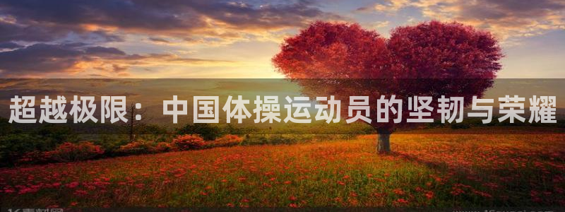 oety欧亿体育官网下载招商电话号码：超越极限：中国