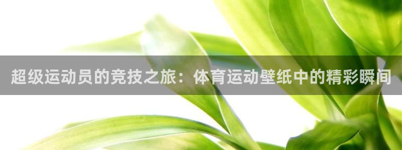 欧亿体育官方正版app娱乐平台