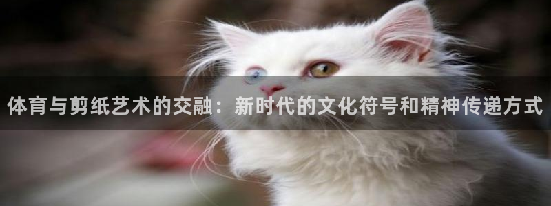 oety欧亿体育官网下载平台是正规平台吗安全吗