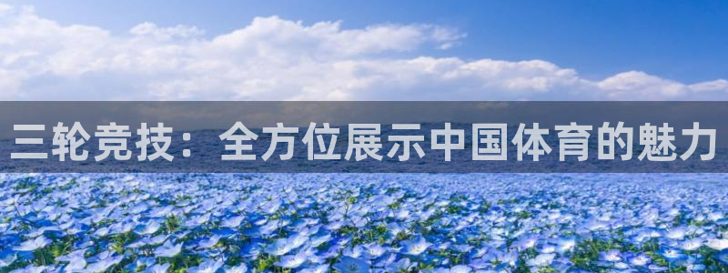 欧亿体育官方正版app新能源：三轮竞技：全方位展示中国体育的