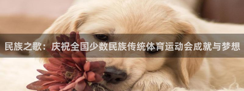 oety欧亿体育官网下载招商电话是多少号码：民族之歌：庆祝全