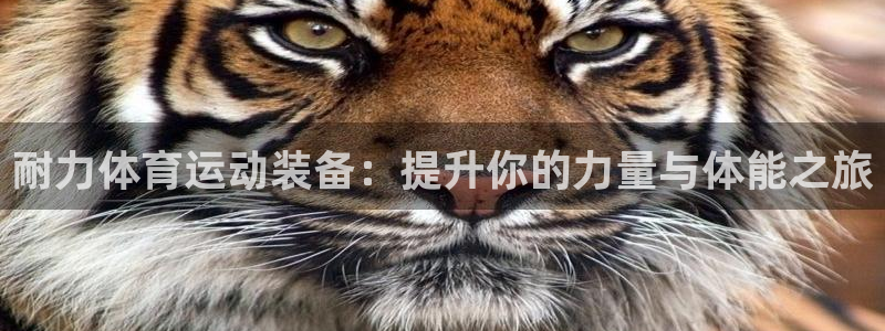 oety欧亿体育官网下载注册：耐力体育运动装备：提升你的力量