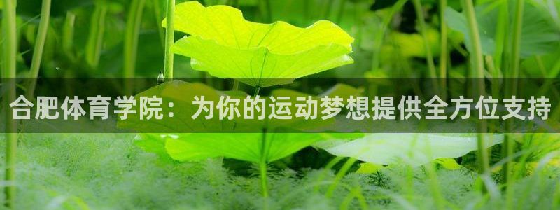 oety欧亿体育官网下载平台是正规平台吗安全吗：合肥体育学院