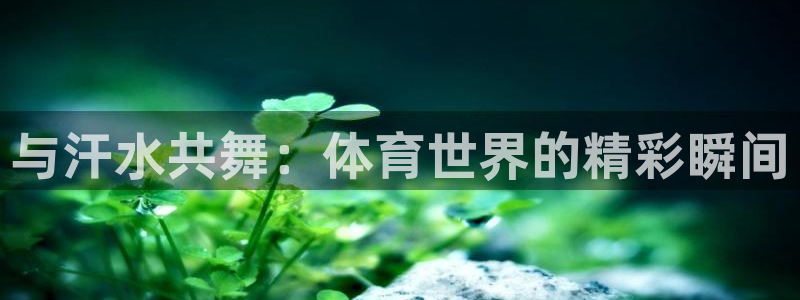 注册欧亿体育官方正版app：与汗水共舞：体育世界的精