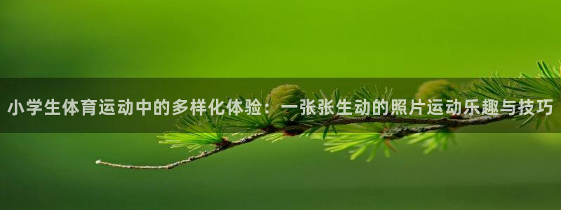 oety欧亿体育官网下载招商电话号码是多少啊：小学生体育运动