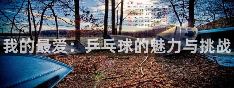 oety欧亿体育官网下载平台是正规平台吗安全吗：我的最爱：乒