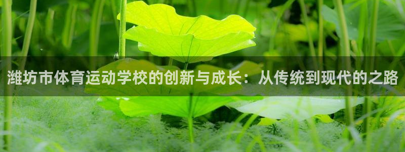 oety欧亿体育官网下载平台假的吗是真的吗：潍坊市体育运动学