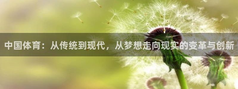 oety欧亿体育官网下载招商电话地址查询：中国体育：从传统到
