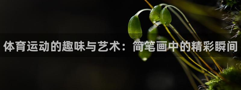欧亿3湫33 300：体育运动的趣味