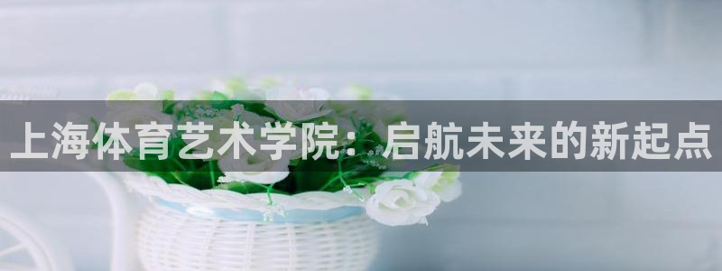 欧亿星灰泥：上海体育艺术学院：启航未